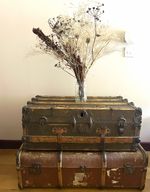 The Belgian Trunk Co. True Vintage Wooden Hard Travel Trunk Brown/Black