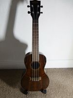 Kala Ziricote Concert Ukulele With Gig Bag