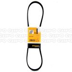 5PK1025 V-Ribbed Belt Fits BMW X5 Citroen AX Mazda MX-5 4 Opel By Continental