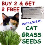 Cat Grass Seeds BUY 2 GET 2 FREE - BUY 3 GET 3 FREE - BUY 4 GET 4 FREE