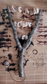 woodland Elf shell shaker - hand percussion instrument natural