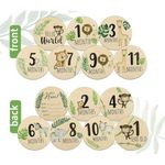 7 Pieces Baby Monthly Cards Wooden Milestone Cards Discs Round Wooden for Baby