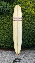 SHIPPING, Local Hero Longboard Surfboard 9'6, Noserider, pin tail, Retro, 80L