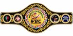 WBC Belt Boxing Championship Replica Belt Adult Size Hight Quality Leather 4MM
