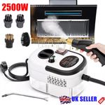 2500W Handheld Steam Cleaner High Temp Pressurized for Home Car Detailing Clean.