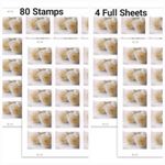 120 FOREVER STAMPS 6 SHEETS 🤍 Wedding White Rose 🤍