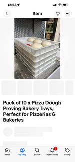 Pizza Dough Bakery Tray Pack of 10