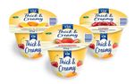 Golden Acre Pasteurised Thick & Creamy Fruit Yogurt 20 x 125g