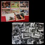 JOB LOT Run, Appaloosa, Run Press Stills + UK FOH Lobby Cards DISNEY