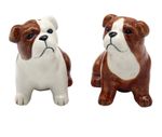 English Bulldog Salt & Pepper ceramic shaker cruet set novelty - Dog lover gift