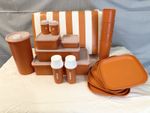Vintage TUPPERWARE Picnic Complete Set w/Carrier 1970's Tote Basket 18 Pieces