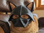 3D Printed Funny Cat Costume Mask Hat Muscular Muscle Arms Cosplay Prop Custom C