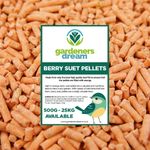 GardenersDream Berry Suet Pellets - High Energy Feed Wild Bird Garden Food