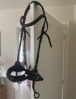 Hackamore Bridle