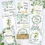 Baby Milestone Cards • Eucalyptus Memory Cards • Botanical Baby Gift • 1st Year
