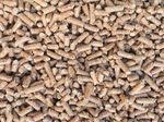 Wood Based Cat Litter 2/10/15/30/60 Litres  Absorbent Pine Wood Pellets. Animals