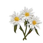 Daisy flowers Metal Cutting Dies  Stencil Scrapbook Embossing Paper Craft Decor