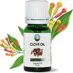 Clove Oil for Toothache Pain Relief for Adult – Natural Dental Solution - 10ml