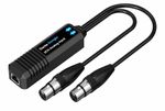 MT-VIKI Dante Avio Analog Input Adapter 2 Channel