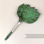 'Demetrius' Vintage 1970/80's Large Wired Rose Leaf Stems - 12 Stems