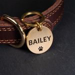 Personalized Engraved Pet Tag, Solid Brass or Stainless Steel, Double Sided