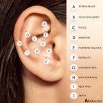 Acupuncture Ear Seeds Vaccaria Acupressure Ear Seeds Gold Plated Pack of 20