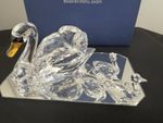 Swarovski Clear SCS Jubilee Swans 2017 edition - Item Number 5233542 Boxed