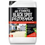 ProKleen Patio Cleaner Lichen Black Spot Remover Algae Green Mould Destroyer 5L