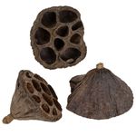 Lotus Flask Small 100pcs Natural Dry Arrangement Grave Decorations, 100pcs