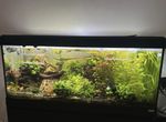 Fluval Roma 240 With Cabinet, External Filter - Upgraded Light And Heater