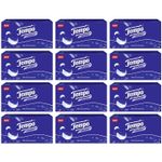 Tempo Soft and Strong 80 Tissues x12