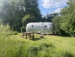 Airstream 1960s Tradewind 24ft - Ready to Go Glamping Business - Offers accepted