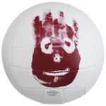 15.25  NEW    Wilson Castaway Volleyball  BARGAIN PRICE  full size