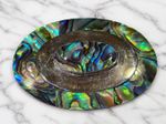 Gorgeous Handmade Abalone Shell Brooch - Gift Boxed