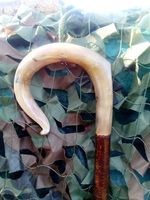 Full length shepherds crook/market stick in a  rams horn FREE POSTAGE