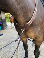 LeMieux Arika Elasticated Breastplate With Detachable Martingale Havannah/Brown