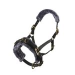 Shires Fleece Lined Lunge Cavesson - Black | Equestrian | Adjustable