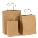 PAPER BAGS BROWN KRAFT CARRIER GIFT PARTY BAGS WITH TWISTED HANDLES