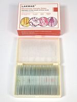 Lakwar Microscope Sample Slides, Prepared x 30