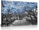 Black & White Wall Art Blue Blossoms Canvas Wall Art Picture Print Home Decor