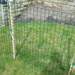 Garden Fencing  50mm Wire Mesh With Timber Posts -Rabbit Dog Chicken Fence Pen