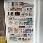 COLLECTION OF POLAND POLISH POLSKA STAMPS, GG