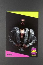 1 x 1991 Proset MusicCard Super Stars 52 # Hammer