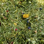 *Tortoise Edible Bedding Food Readi Grass Flower & Plant Botanical Herbs Leaves 