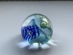 Caithness Glass Paperweights - 'Miniature' - Various Designs Available