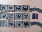 RAF Regiment. Squadron  MTP Green, TRF ID Patches & Shoulder Titles,   new.