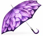 Pasotti 460N 21065-71 G15 - Purple Dahlia Umbrella