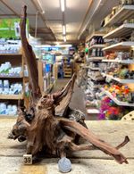 Med/Large Ancient Root  Wood Individual Pieces Scaper Aquarium Fish tank Bogwood