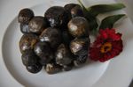 Fresh Raw Bee Propolis – 100% Natural, Soft Unprocessed Resin -Recent Harvest