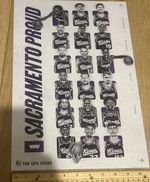 2025–26 Sacramento Kings Team Poster  11” X 17”￼